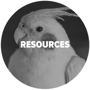 Resources for pet and pet parents